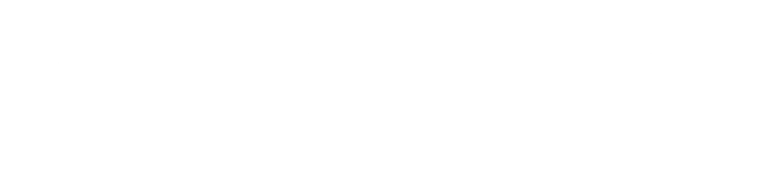 BCI Insurance Logo White